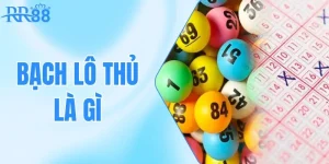 Bạch Thủ Lô Là Gì - Phương Pháp Soi Cầu Chính Xác Tại RR88